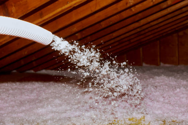 Best Commercial Insulation Services  in Poplar Grove, IL