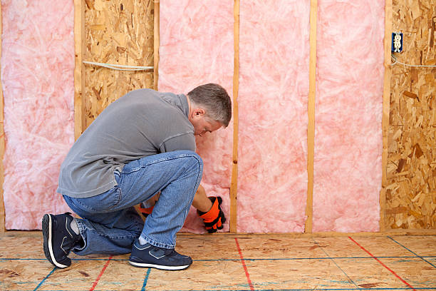 Best Insulation for New Construction  in Poplar Grove, IL