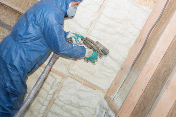 Best Batt and Roll Insulation  in Poplar Grove, IL